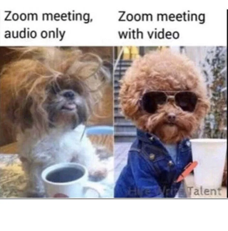 Less Gloom - More Zoom - how to run engaging virtual meetings that your team will love! 