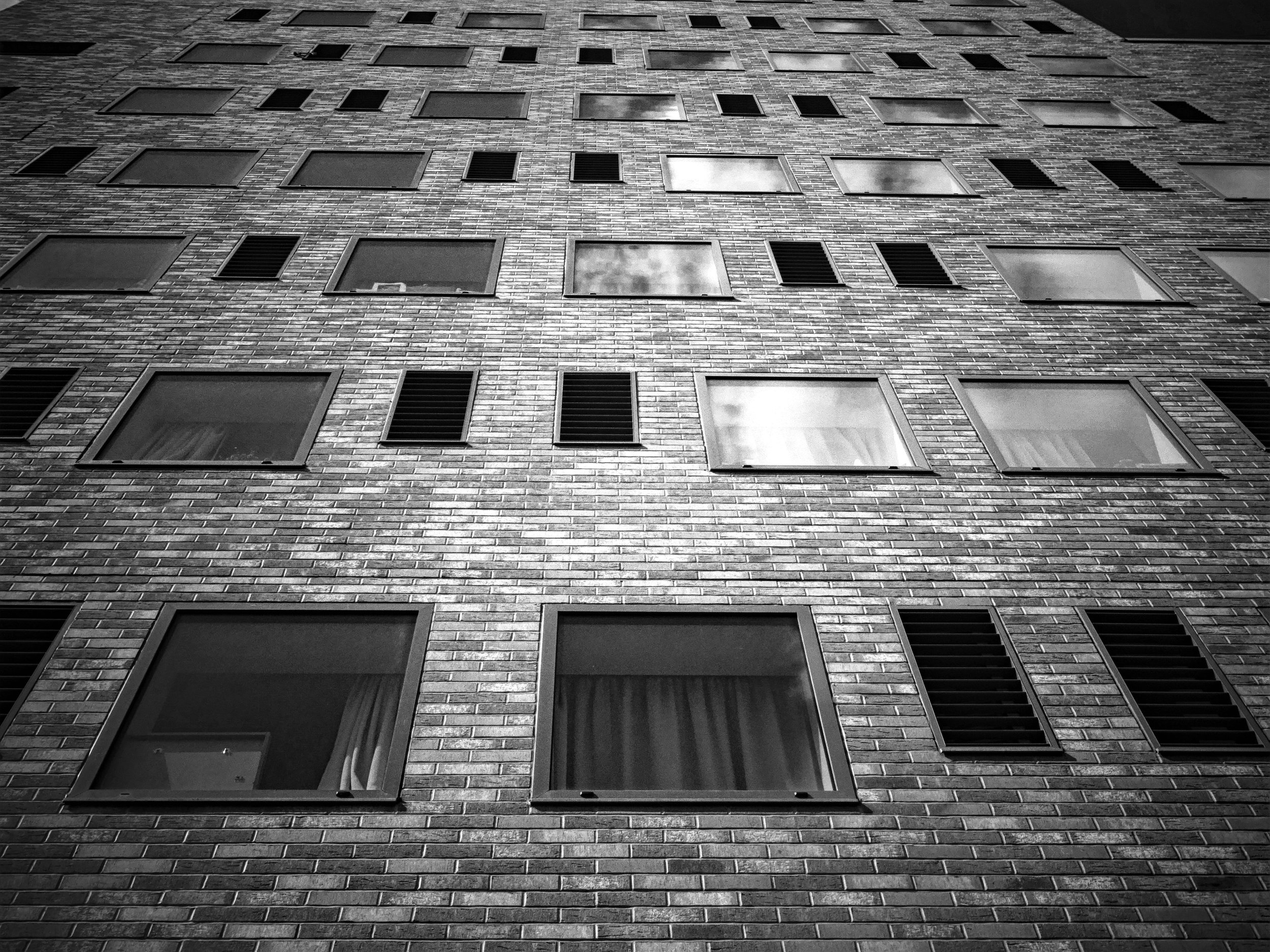pexels-photo-555447.jpeg