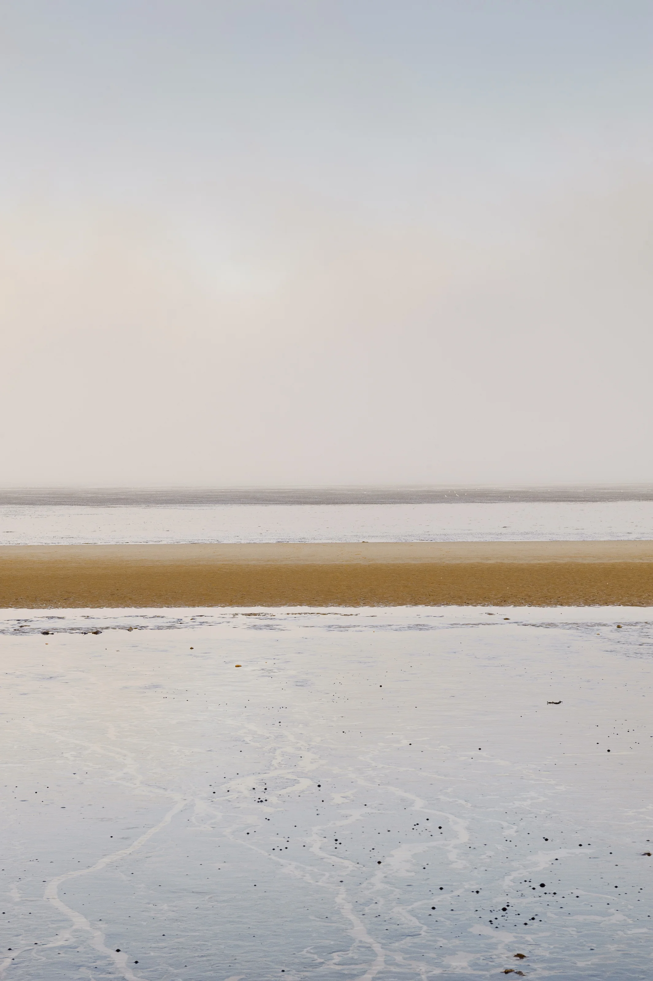 _TG21363-Edit.jpg