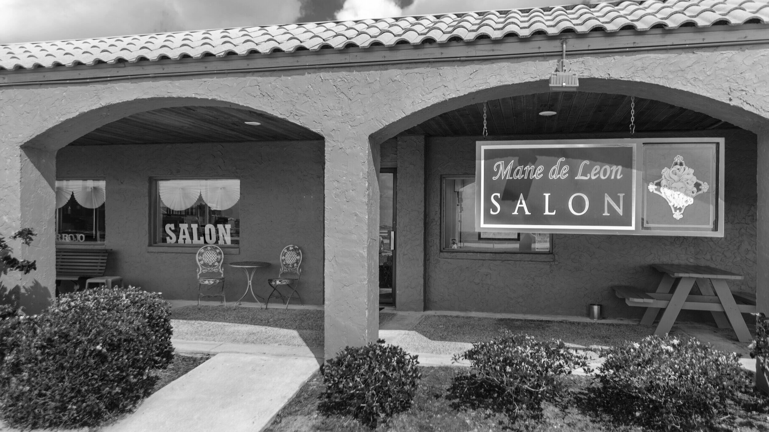 ManeDLSalon_001.jpg