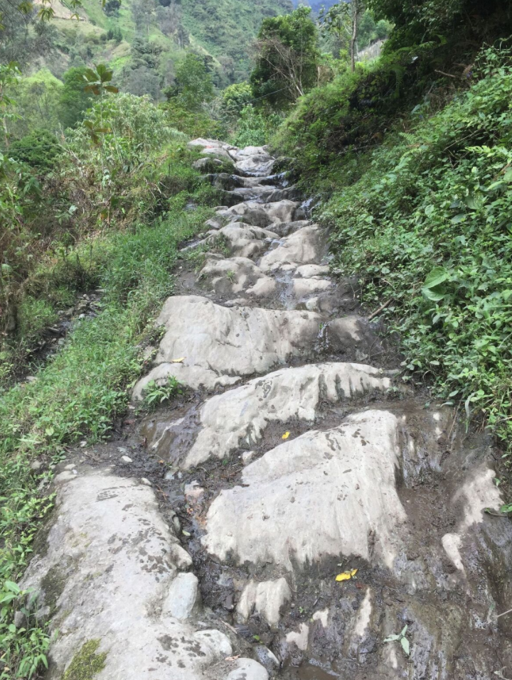 Trekking Los Nevados National Park Colombia
