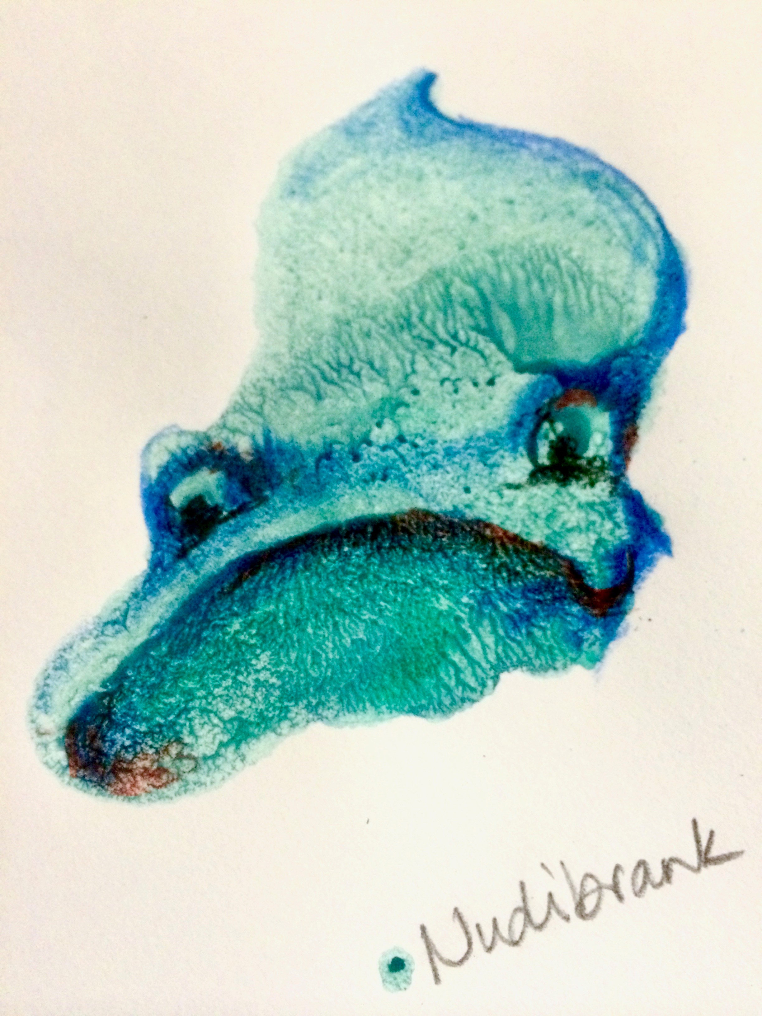 creatures2.jpg