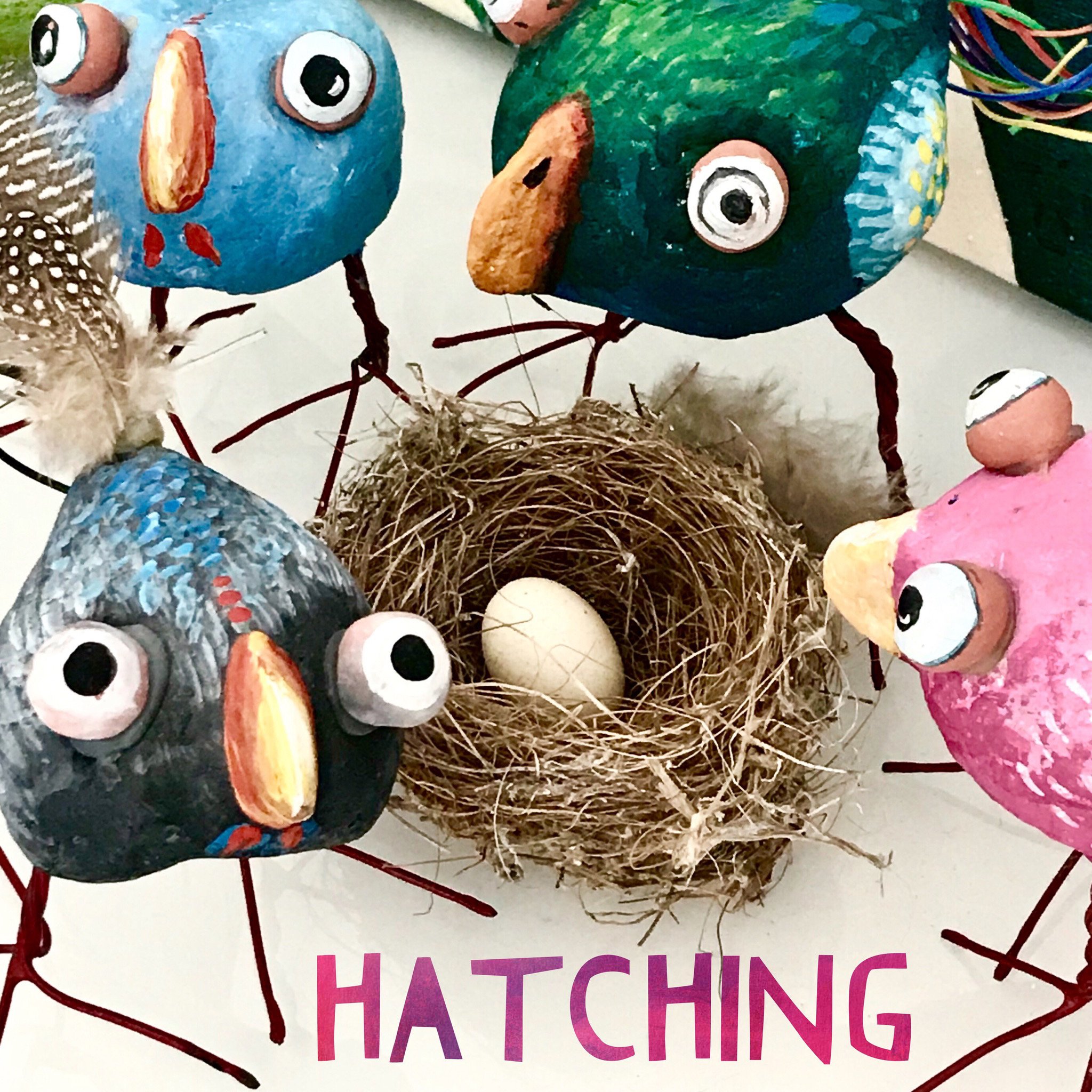 birds-hatching.jpeg