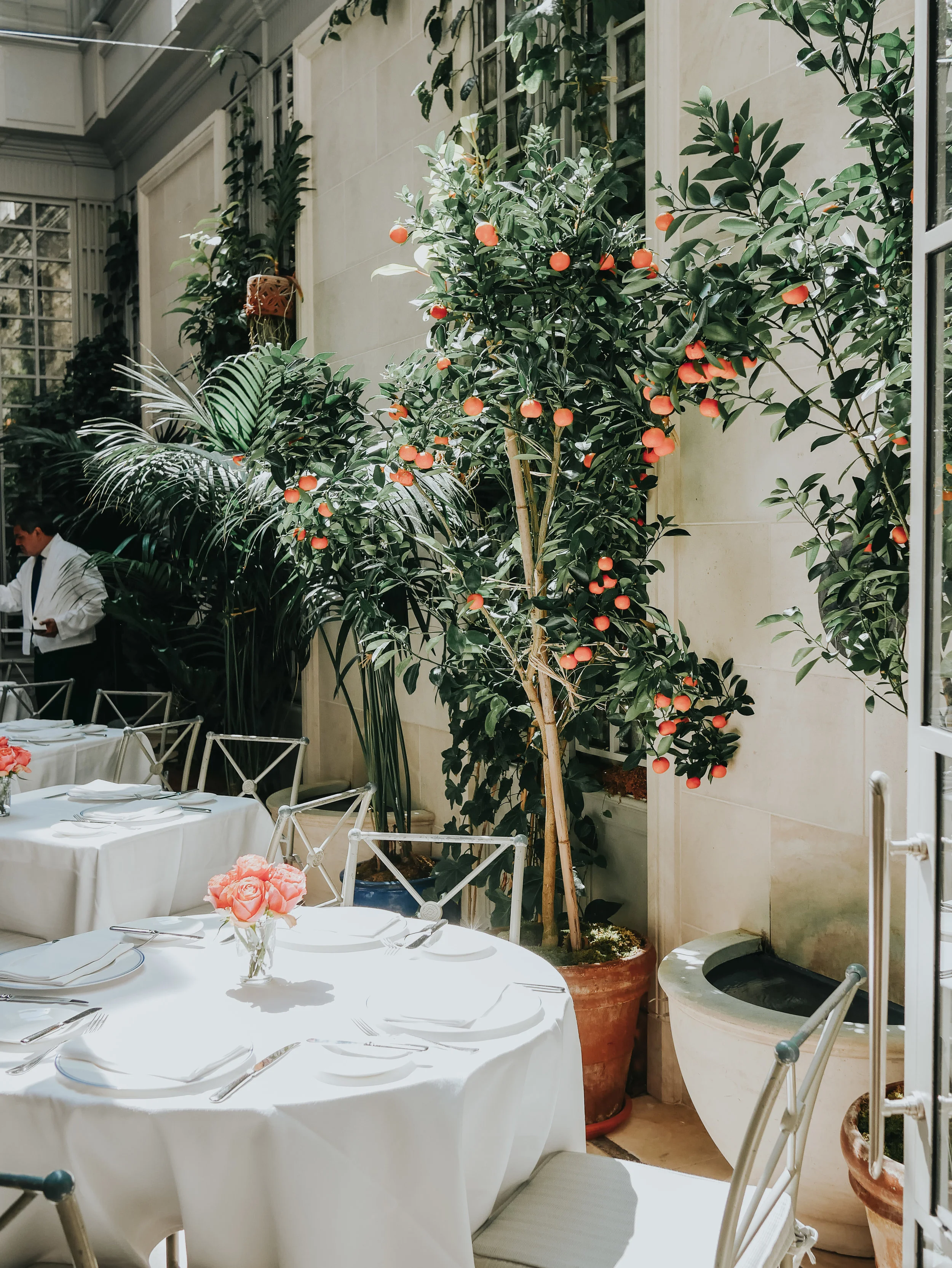 The skylight terrace of the hotel’s French-Moroccan haute cuisine restaurant, Majorelle.