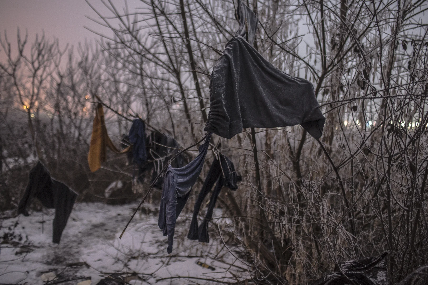 Clothes seen frozen in trees behind a warehouse where dozens of refugees and migrants from Pakistan and Afghanistan are sleeping rough.
