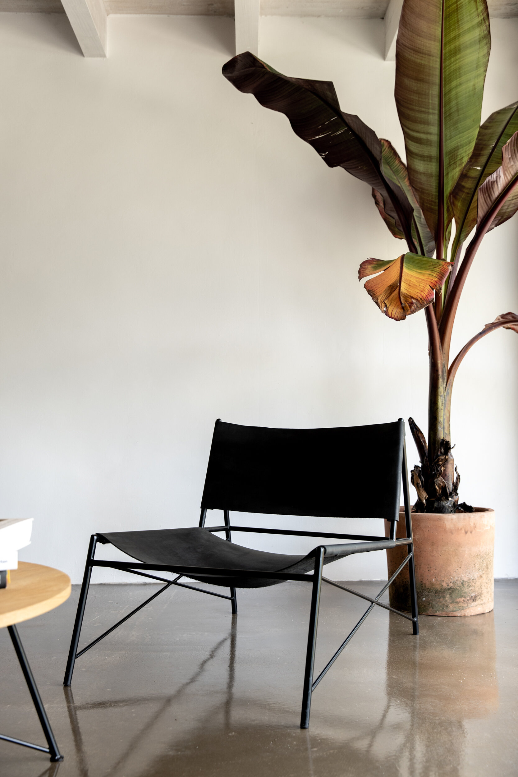 de_200716_3948_SquareSpace.jpg