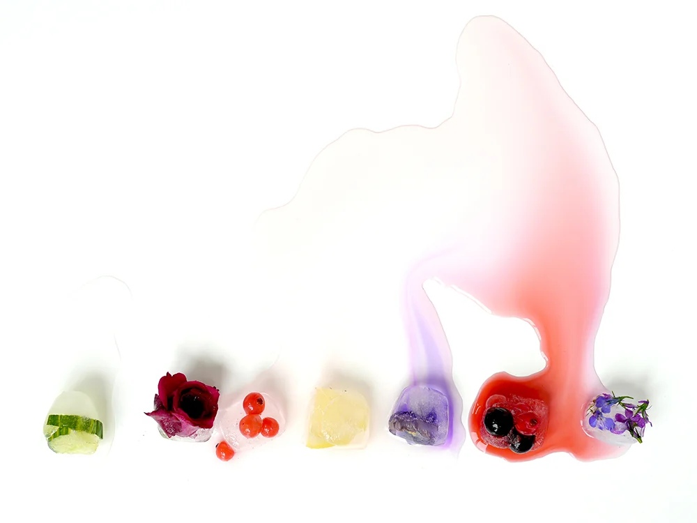 Flower-Ice-Cubes-8.jpg