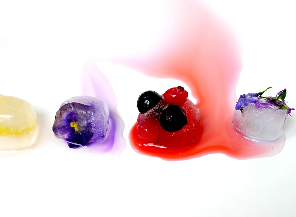 Flower-Ice-Cubes-9.jpg