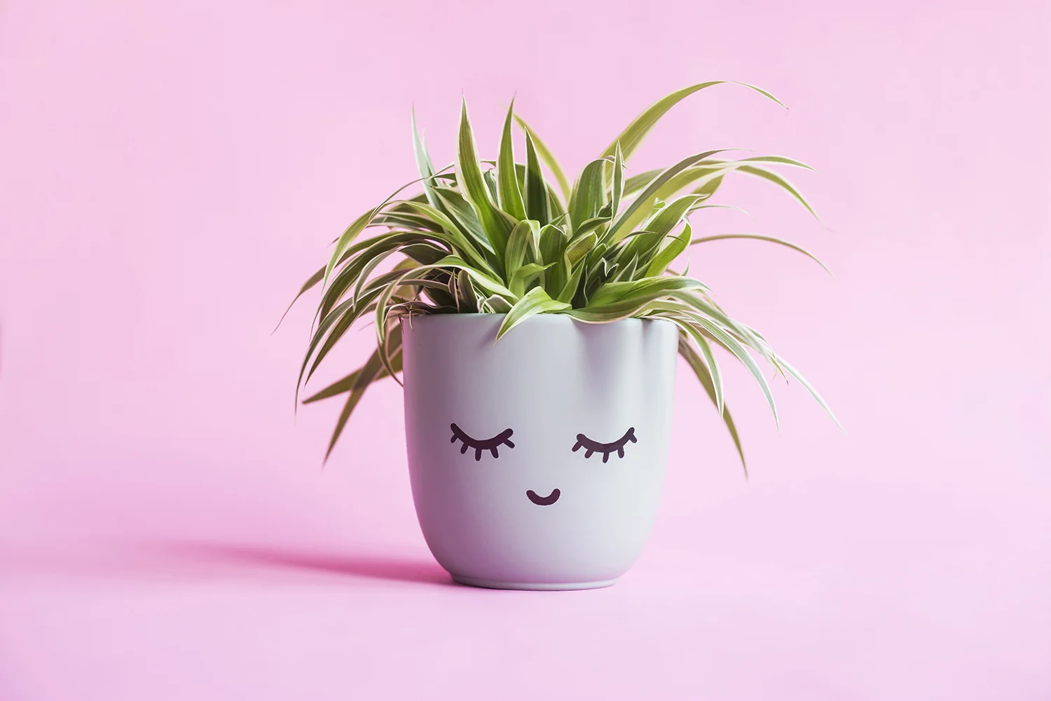 DIY face plant pot 5.jpg