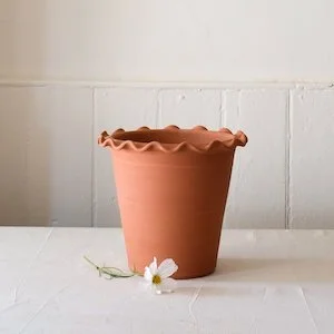terracotta scallop edge pot