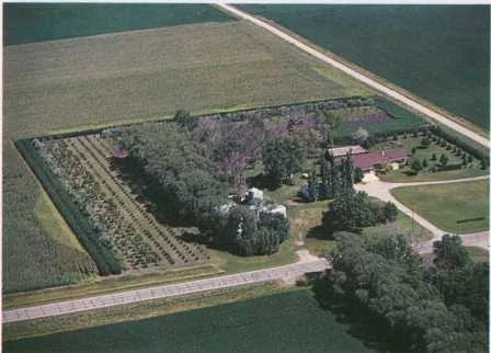 Shelterbelt (2).jpg