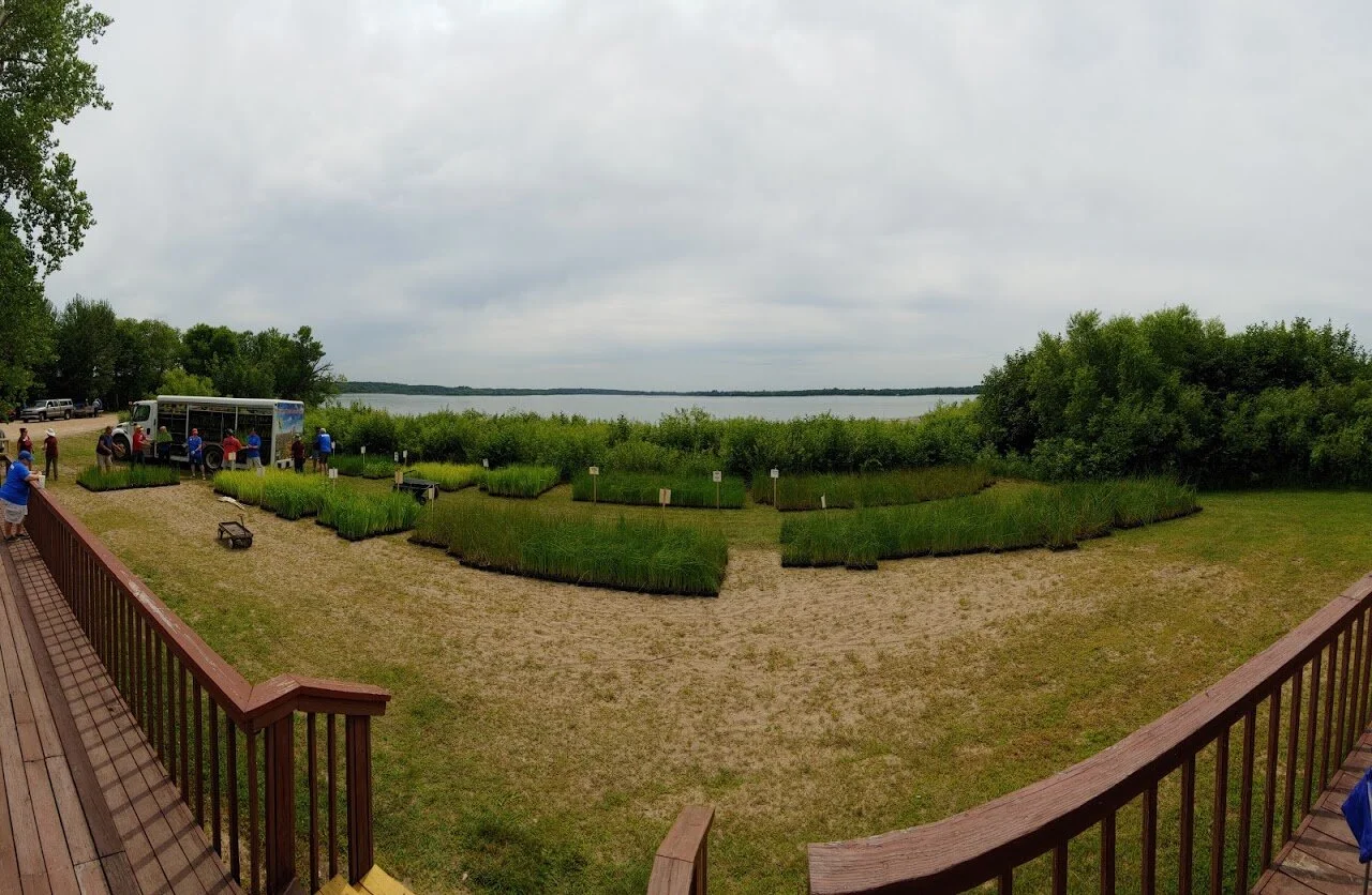 Little Rock Lake Drawdown — Benton Soil & Water Conservation District
