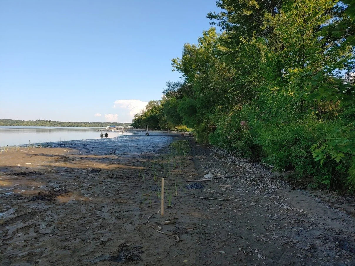 Little Rock Lake Drawdown — Benton Soil & Water Conservation District