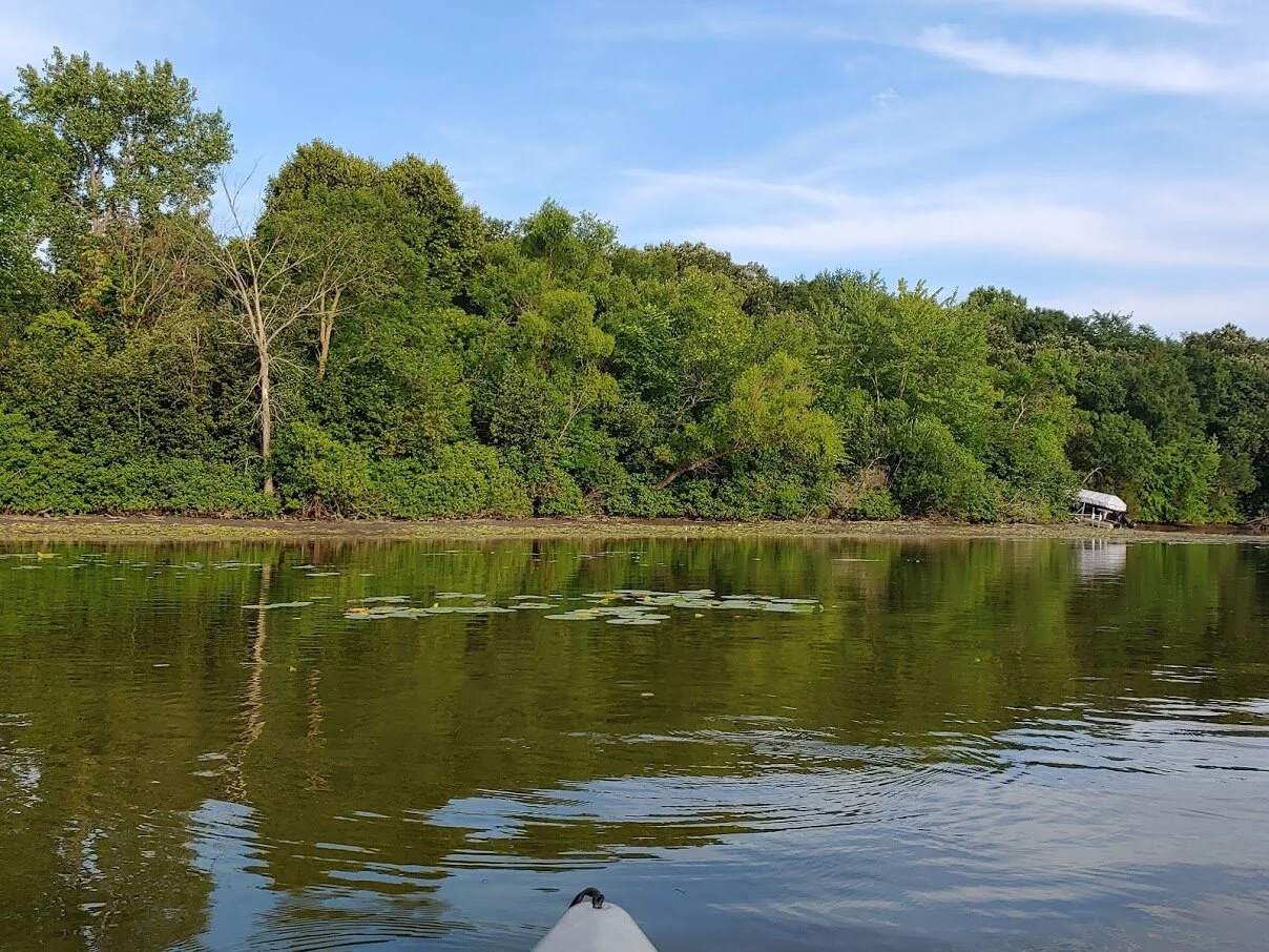 Little Rock Lake Drawdown — Benton Soil & Water Conservation District