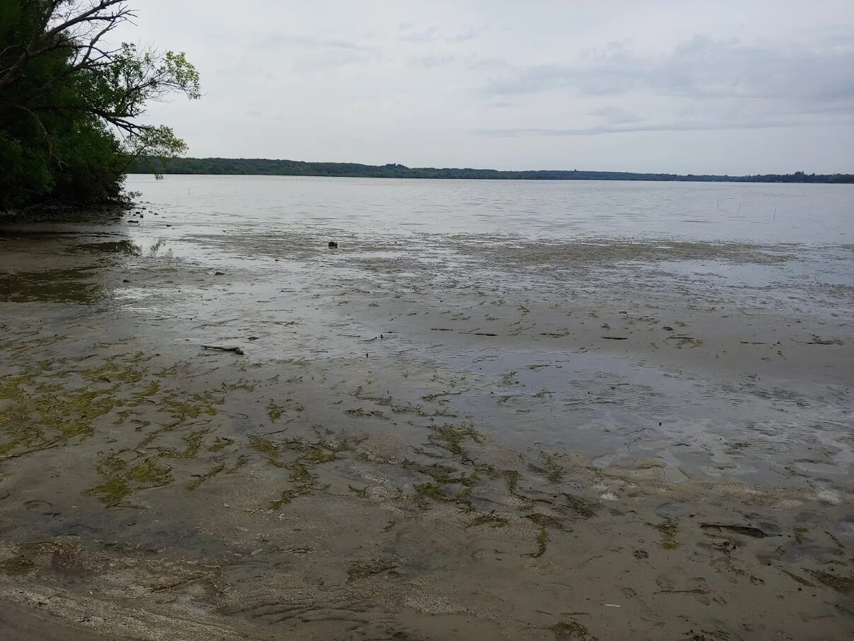 Little Rock Lake Drawdown — Benton Soil & Water Conservation District