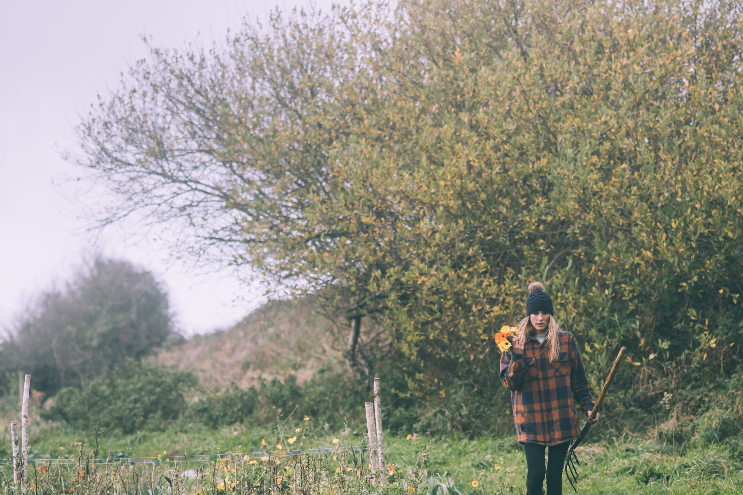 Help harvest meals
