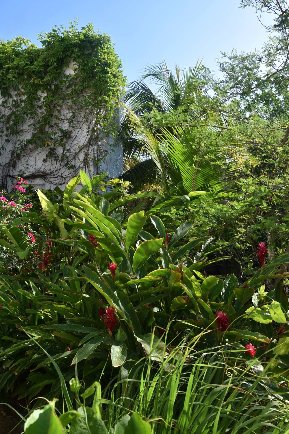 holbox-mexico--48.jpg