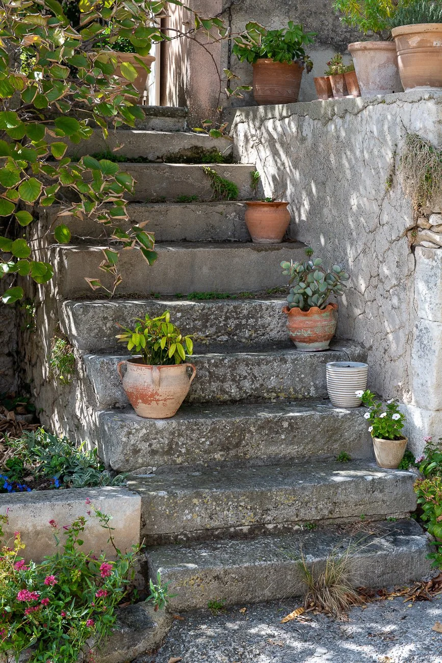 F7826 Provence