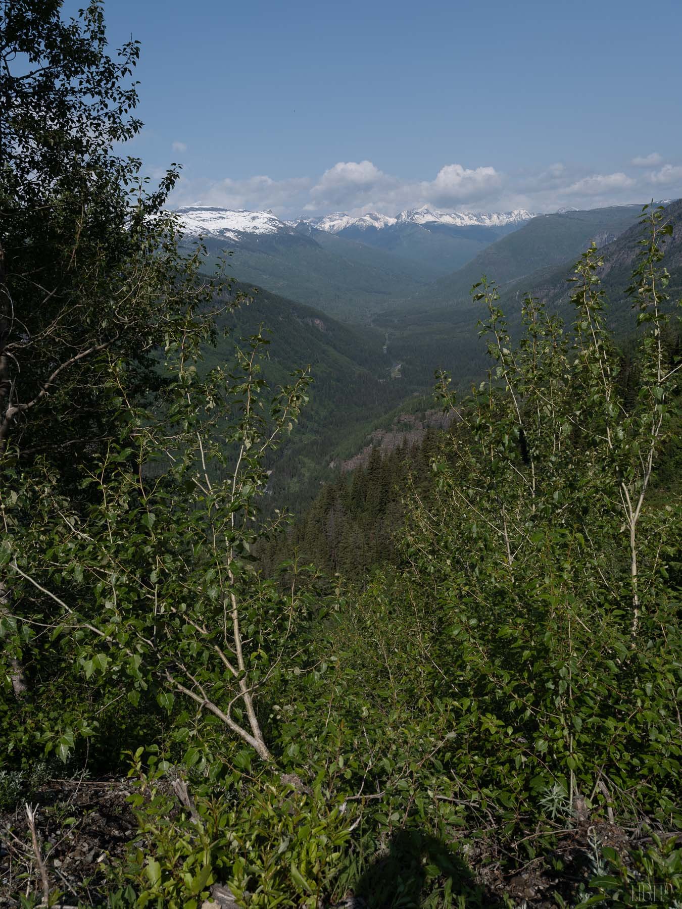 F2947glacier_park_W0725.jpg