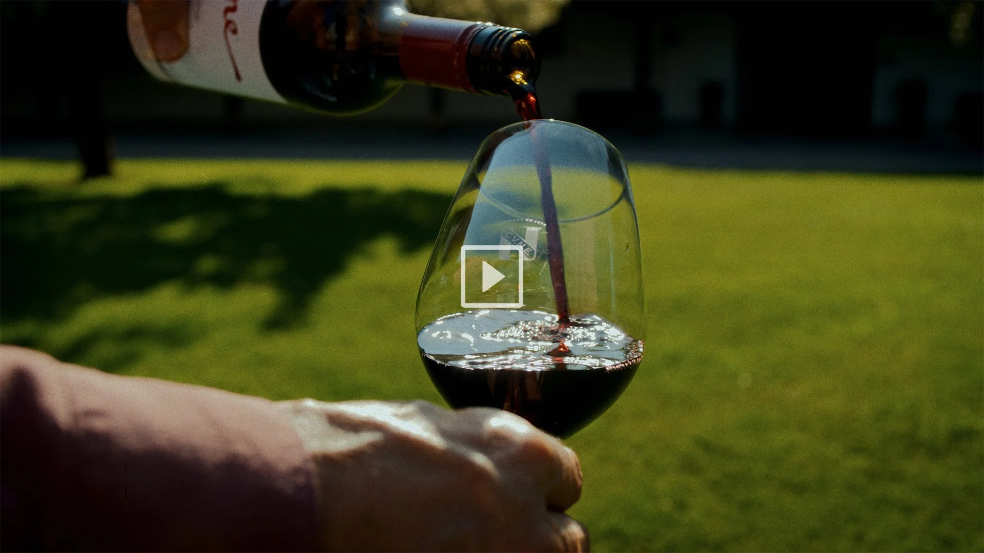 Spanish Vineyards with Cune 