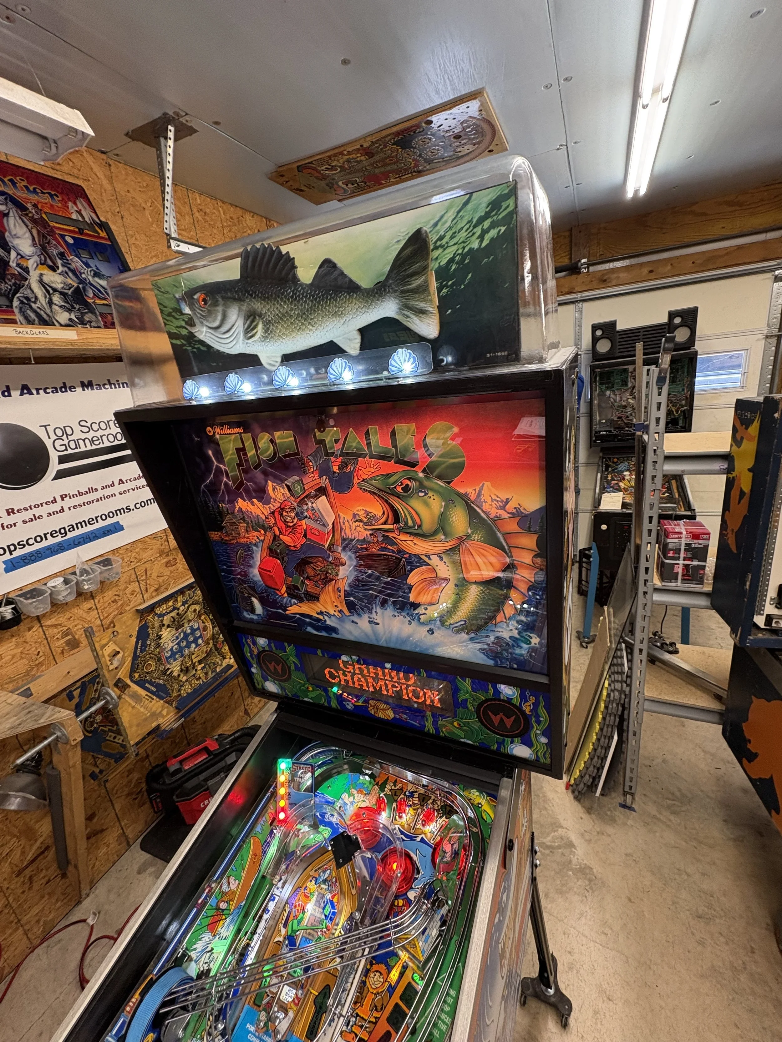 IMG_5528.jpeg