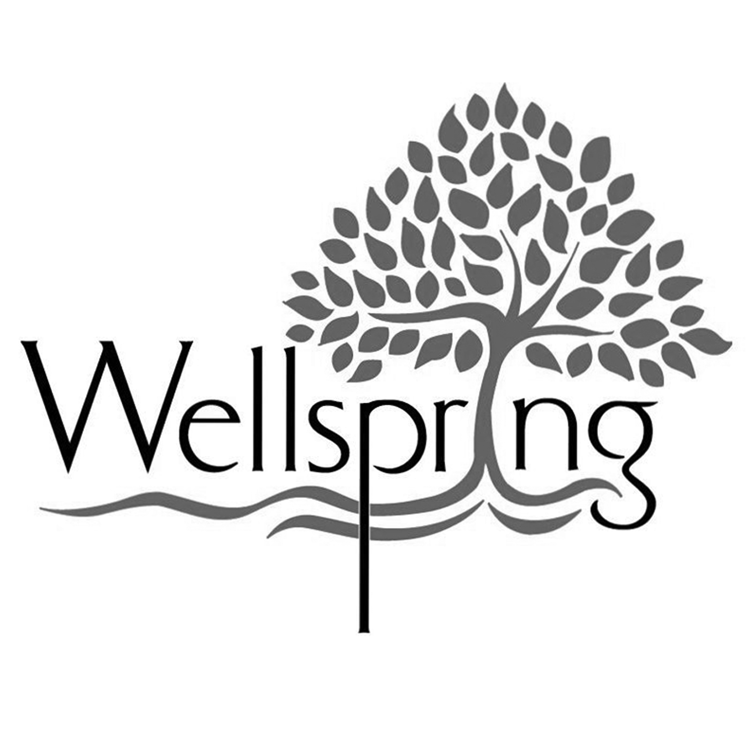 Wellspring_logo.png