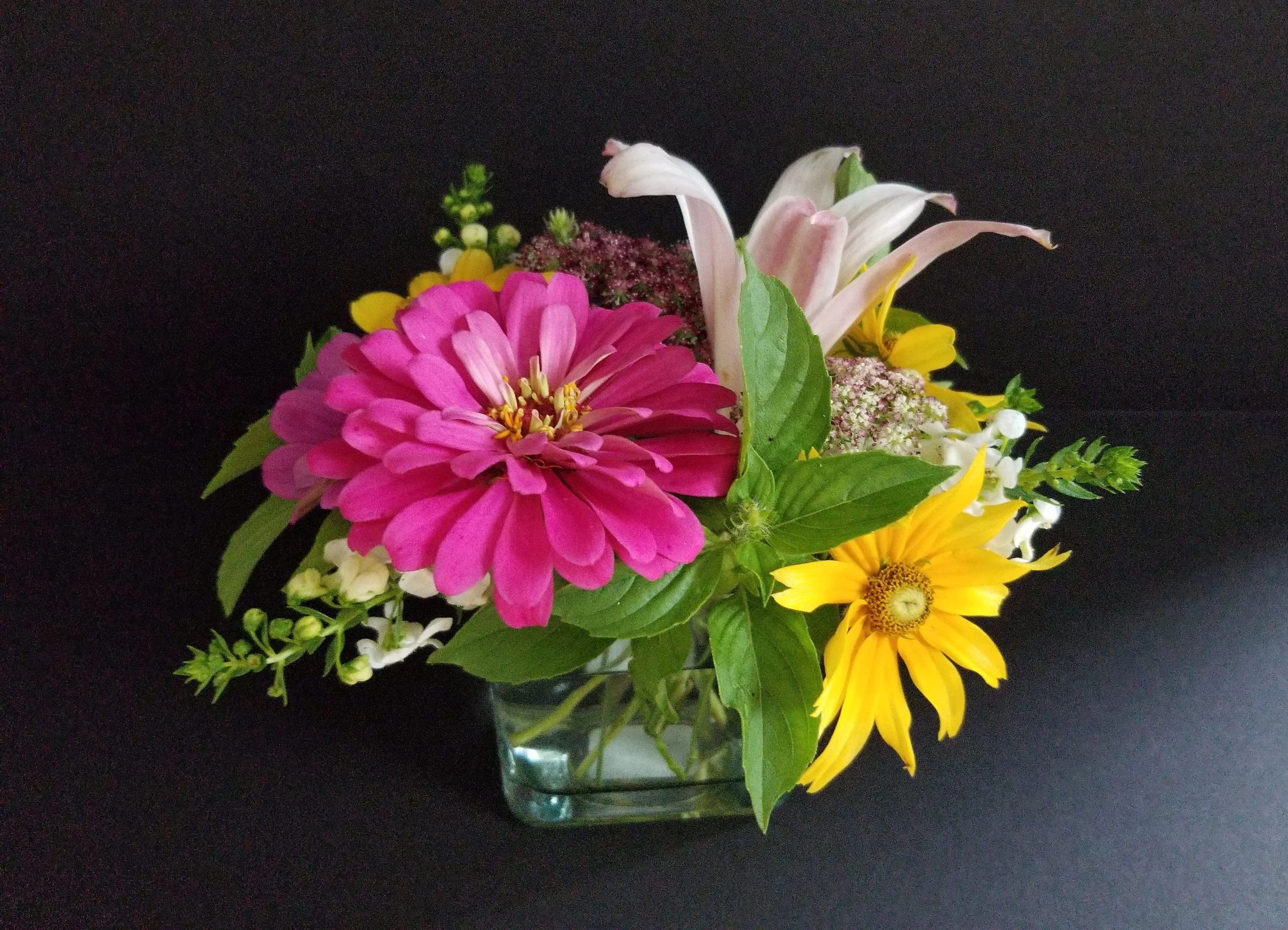 20180729_125347.jpg