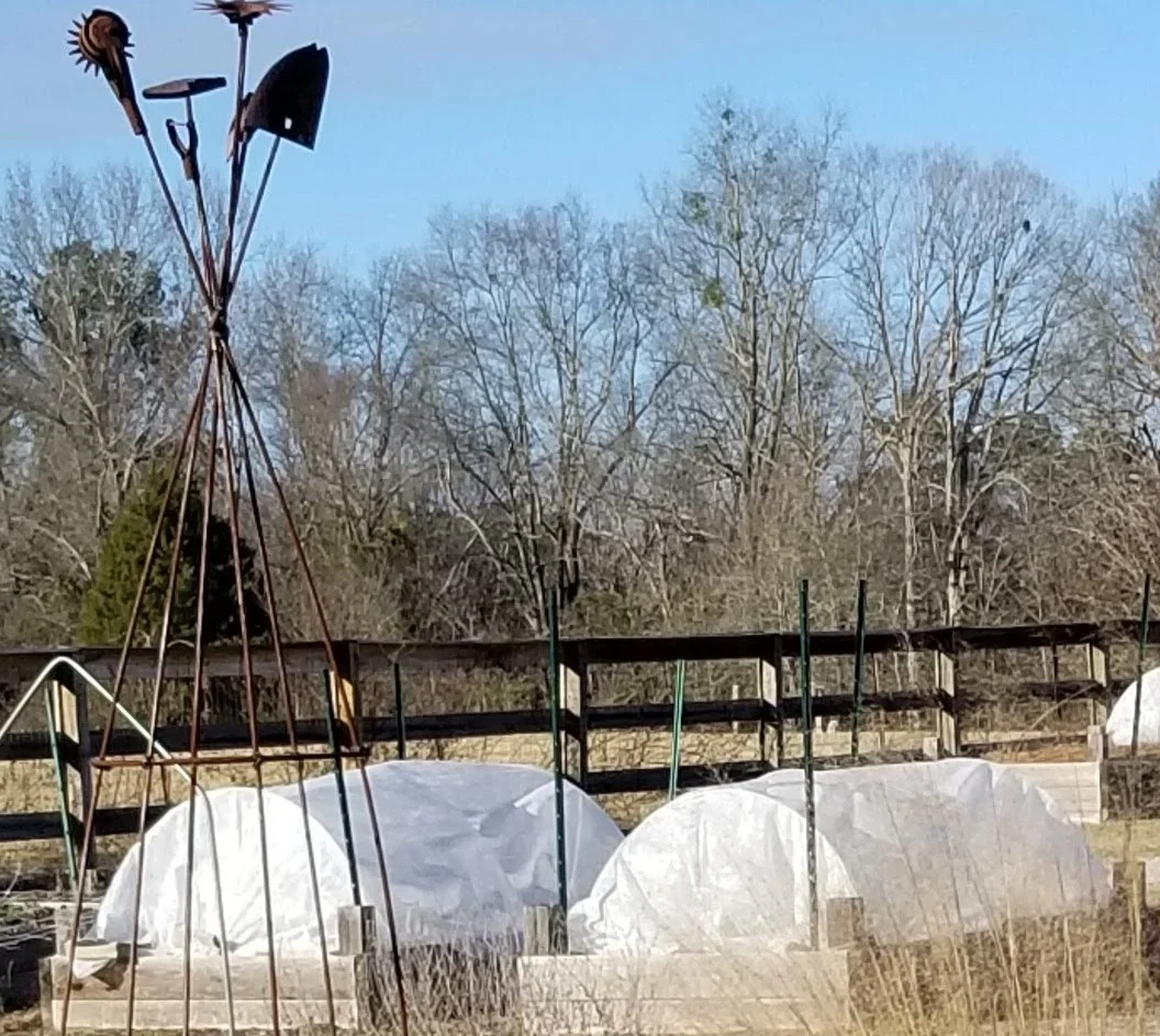 20190122_154116.jpg
