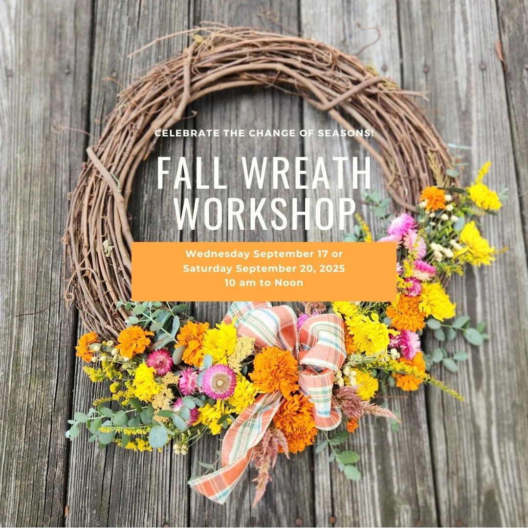 It&rsquo;s almost wreath season at the farm ✨

We&rsquo;ve been drying flowers all summer long&mdash;now they&rsquo;re ready to shine!

Come make your own dried flower wreath at our upcoming on-farm workshop:

🗓 Wednesday, Sept 17 or Saturday, Sept 