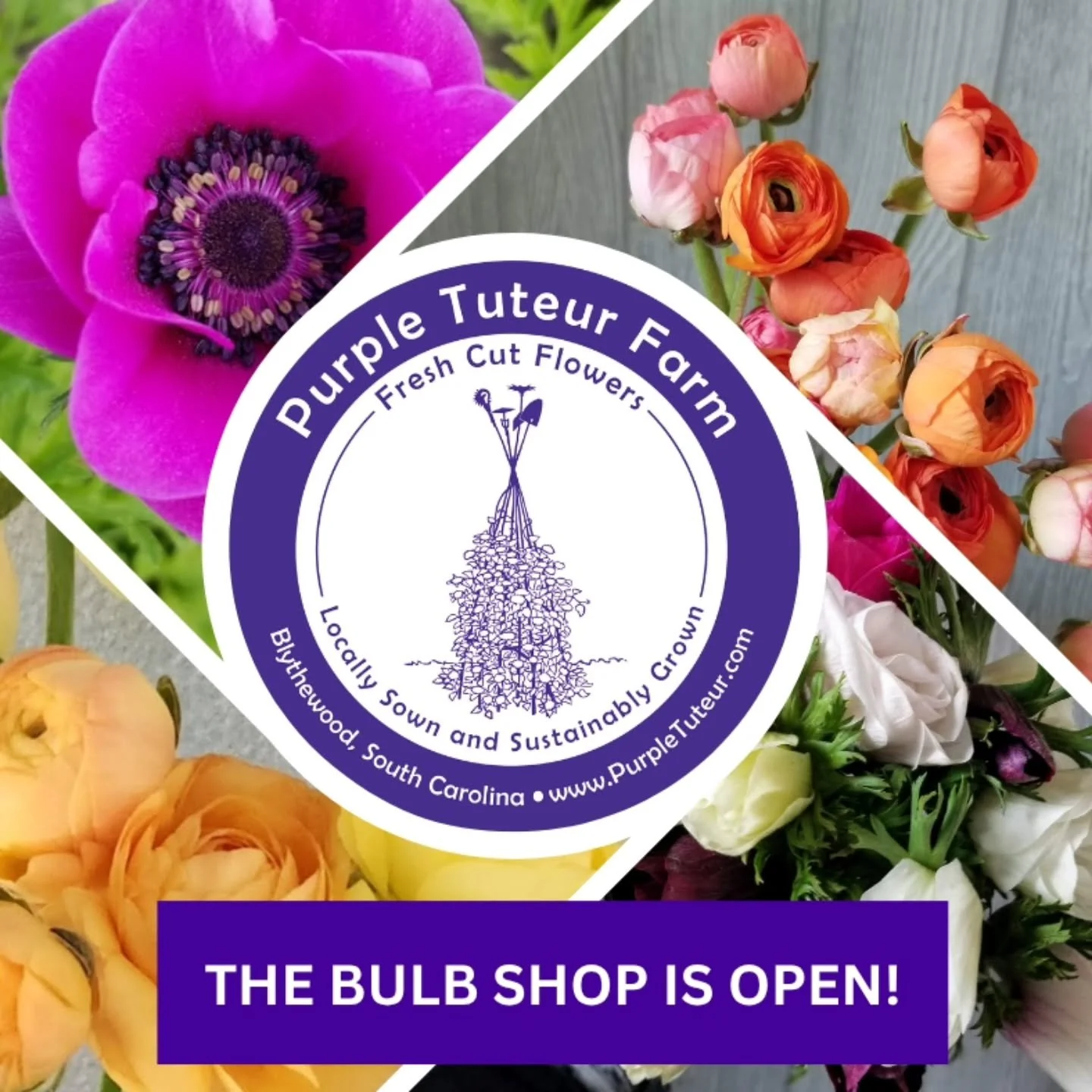 The wait is over&mdash;our Fall Bulb Shop is open! 🌸✨ From now until October 30  you can order specialty ranunculus and anemones for dreamy spring blooms.

This year we&rsquo;ve added a few extras we love:
🧤 Atlas gardening gloves (my go-to pair!)
