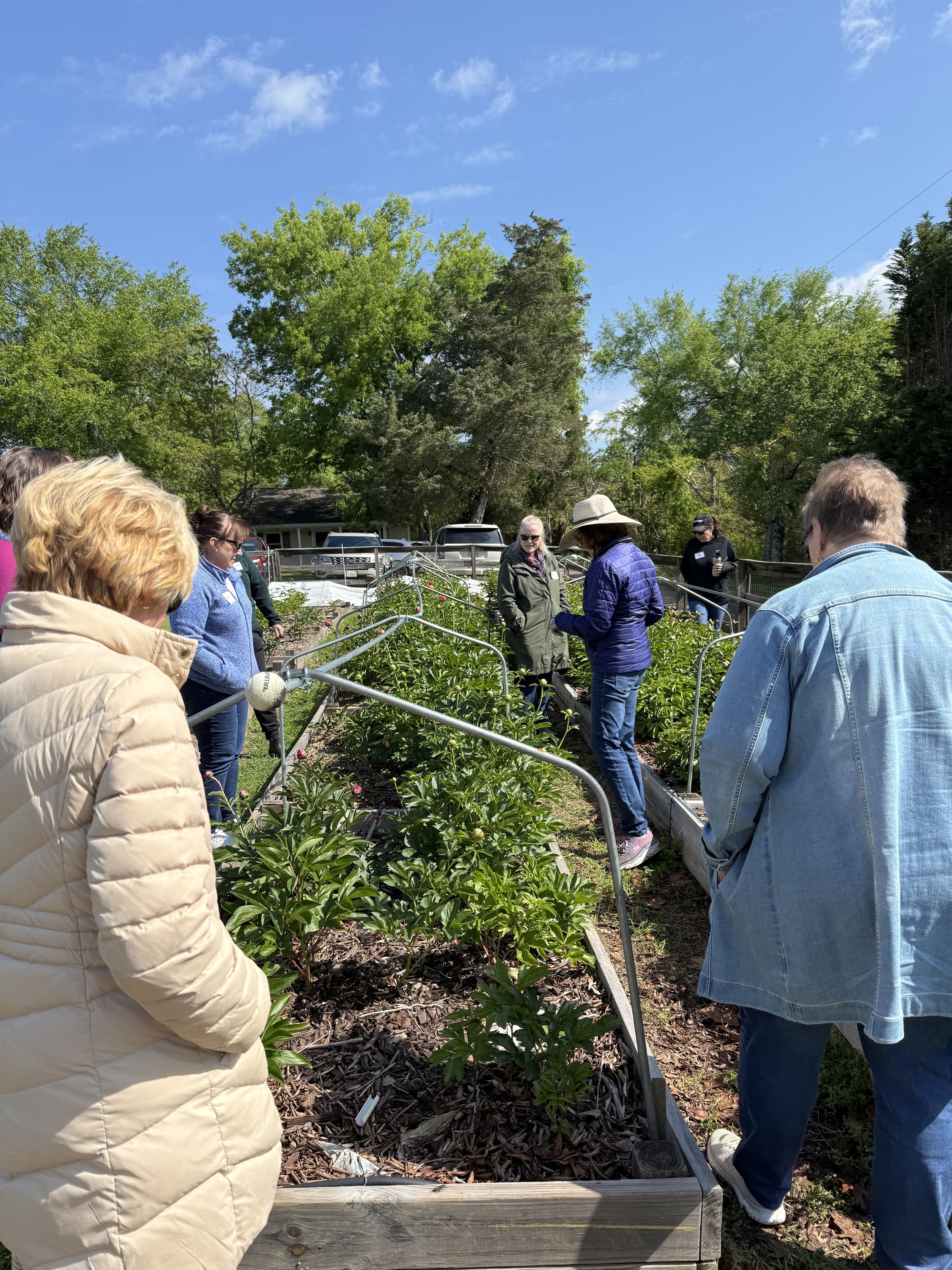 IMG_20250412_161903 (1).jpg