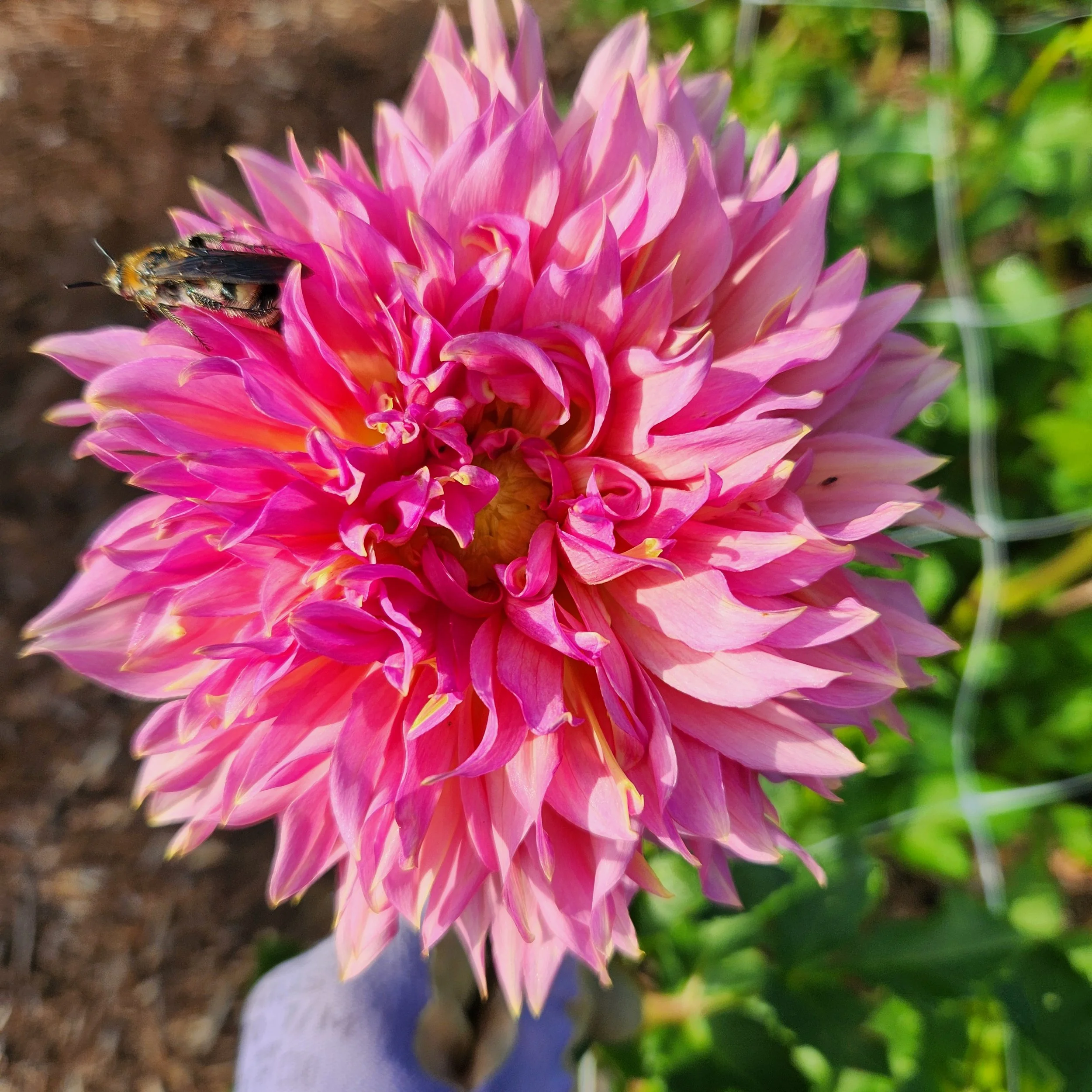 20250813_084809 (1).jpg