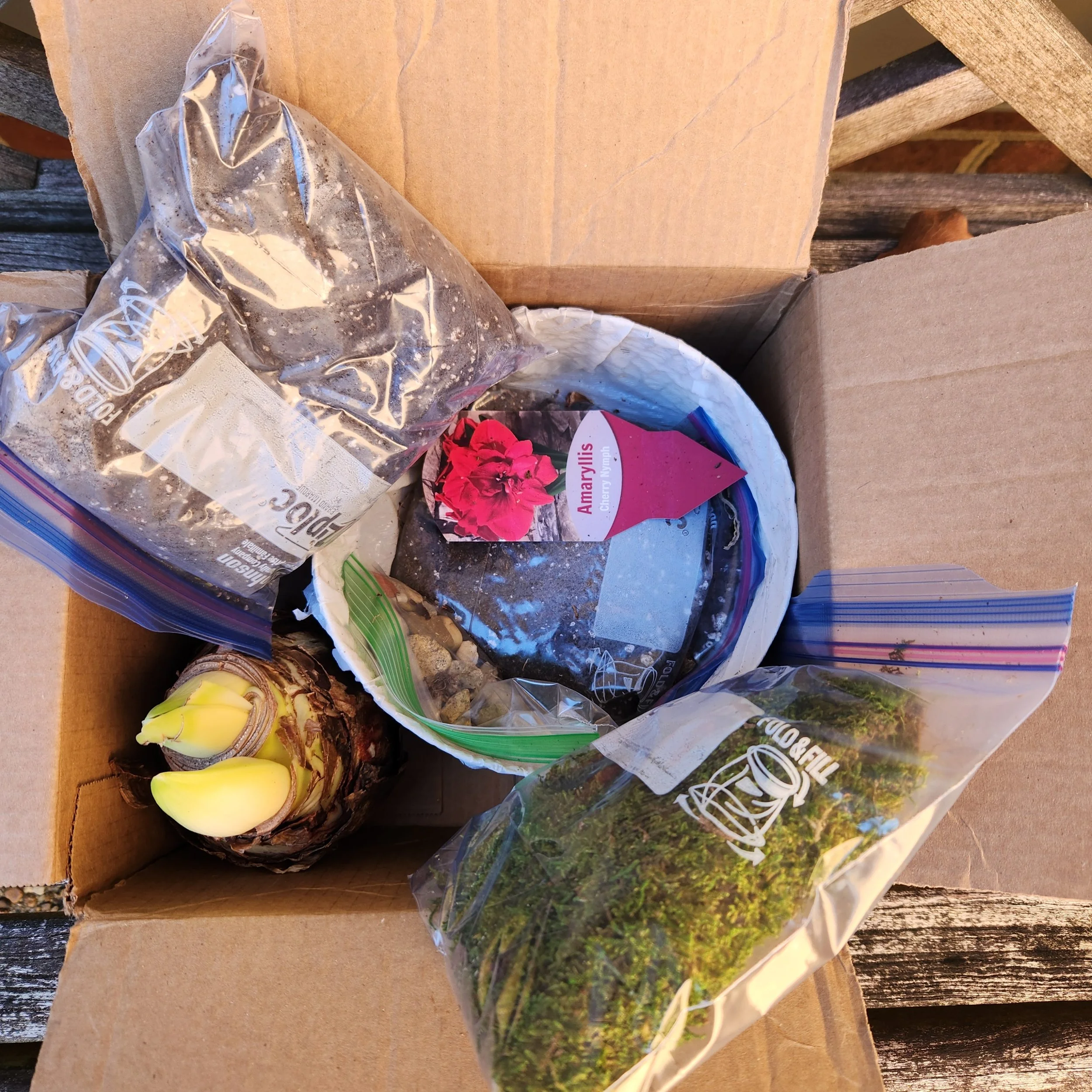 20251127_101557.jpg (Copy)