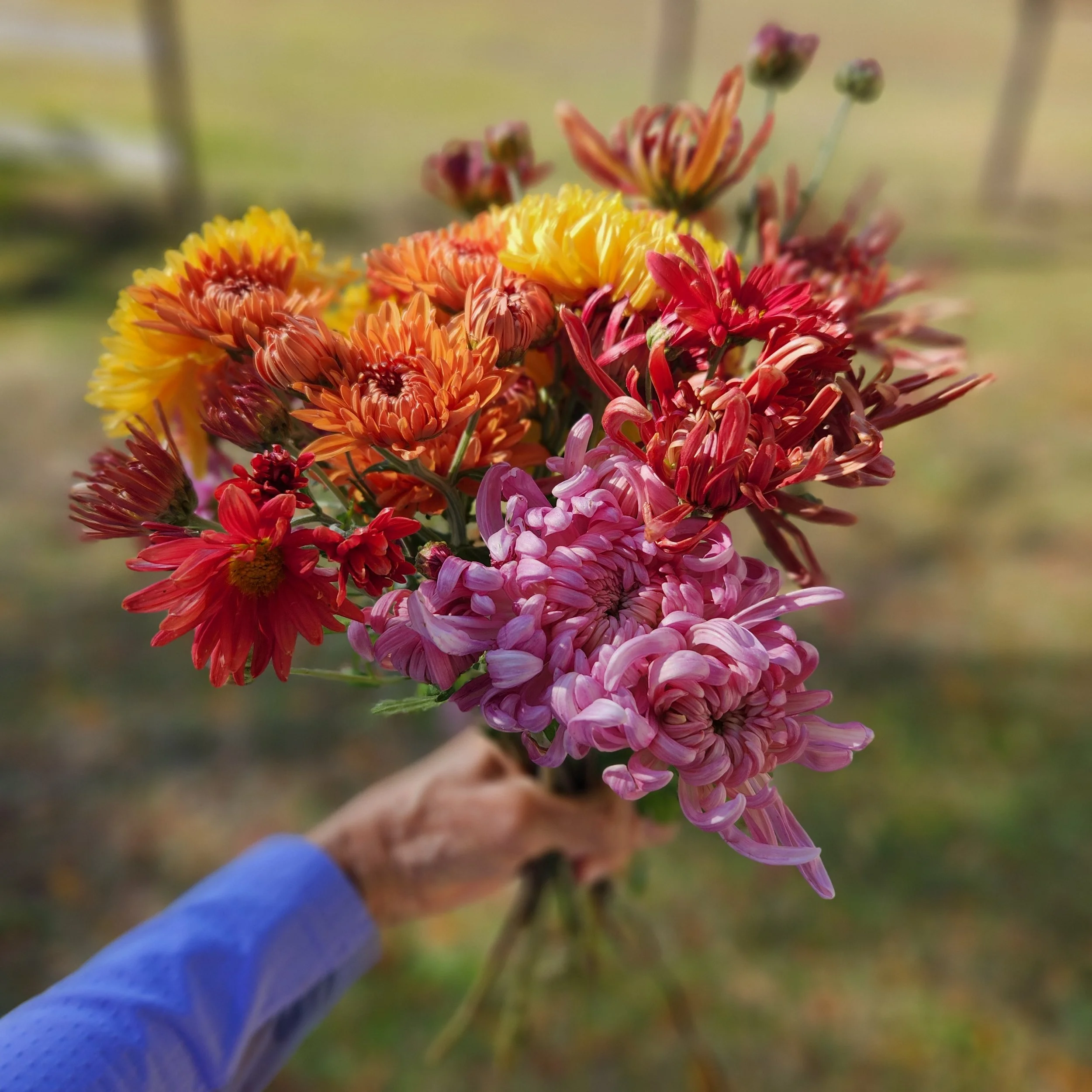20251109_140408.jpg