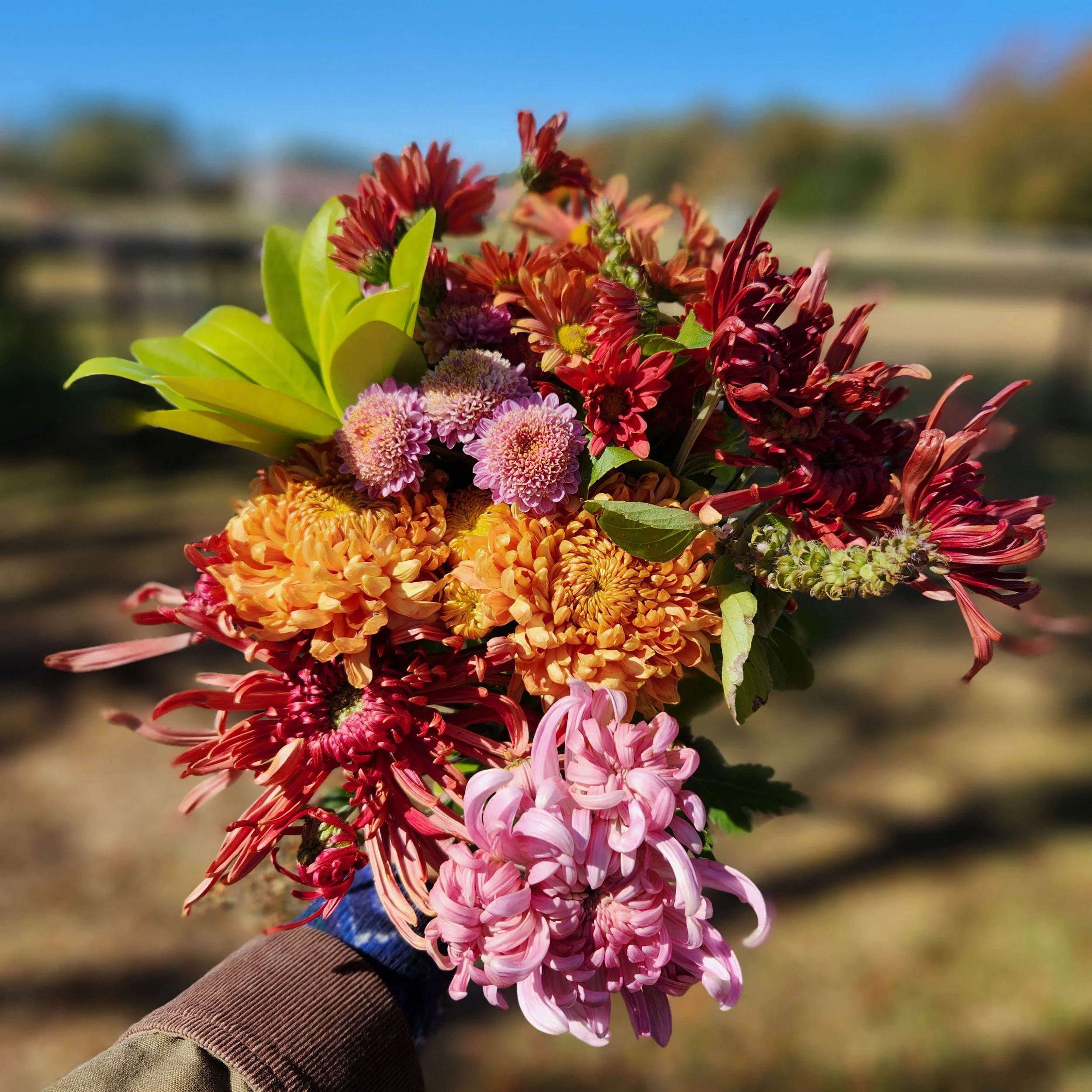 November Chrysanthemum Bouquets