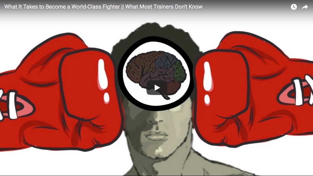 WORLD CLASS FIGHTERS.jpeg