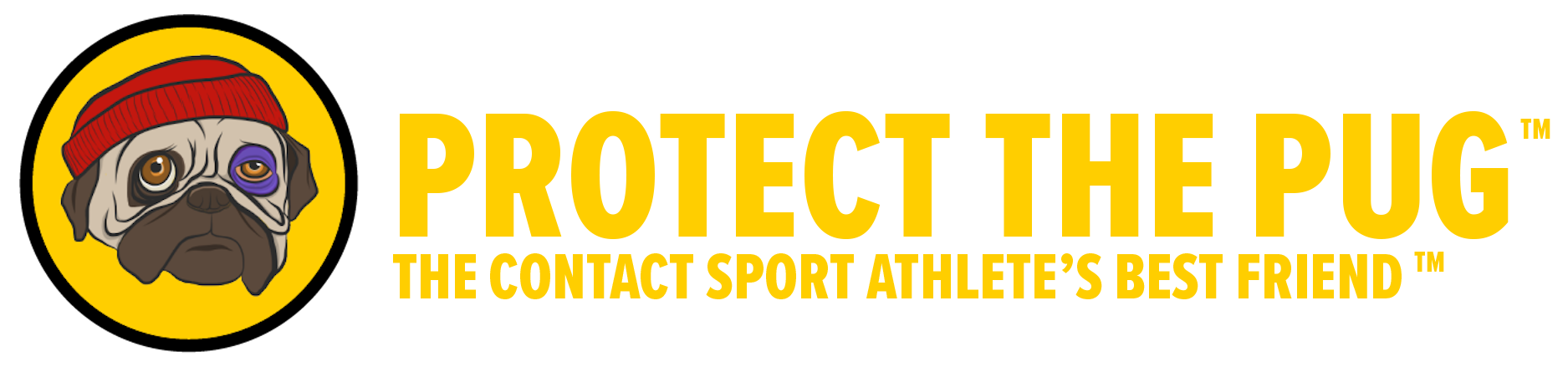 ptppug logo.png