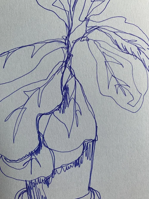 Susan Siegel Continuous Line Drawings Lesson Plan International Print Center New York