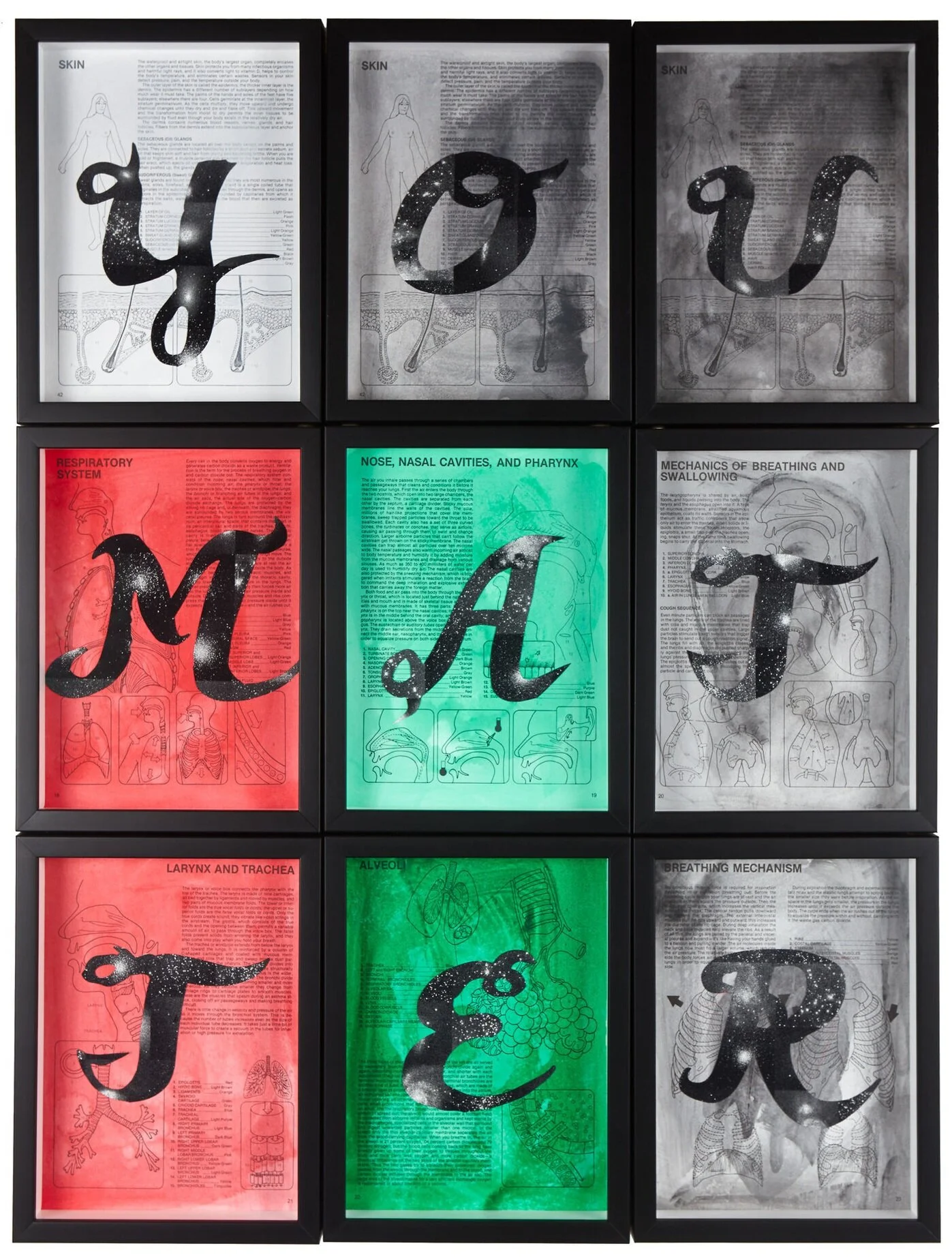 William Villalongo. You Matter , 2015. Screenprint on velour paper mounted on coloring book pages with acrylic wash. 12 × 9 inches each, 36 × 27 inches overall. Courtesy Villalongo Studio LLC and Susan Inglett Gallery, New York. © Villalongo Studio LLC.