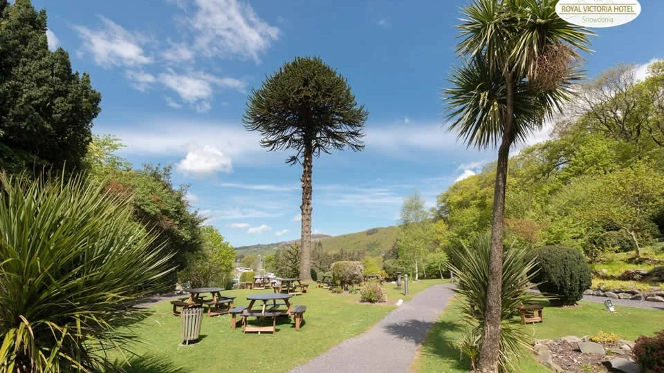 30 acres of gardens and woodlands, including the historic castle of Dolbadarn.