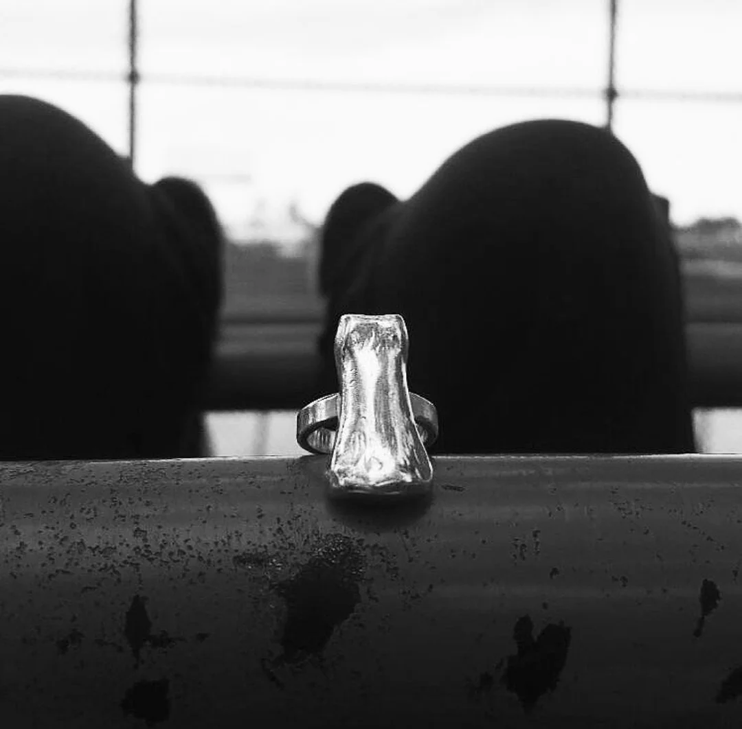 20190208_131444.jpg