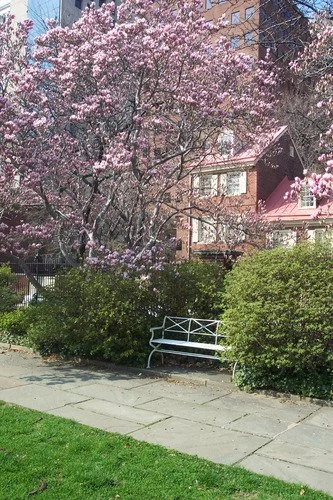 PCGCA Magnolia Tribute Garden Workday 