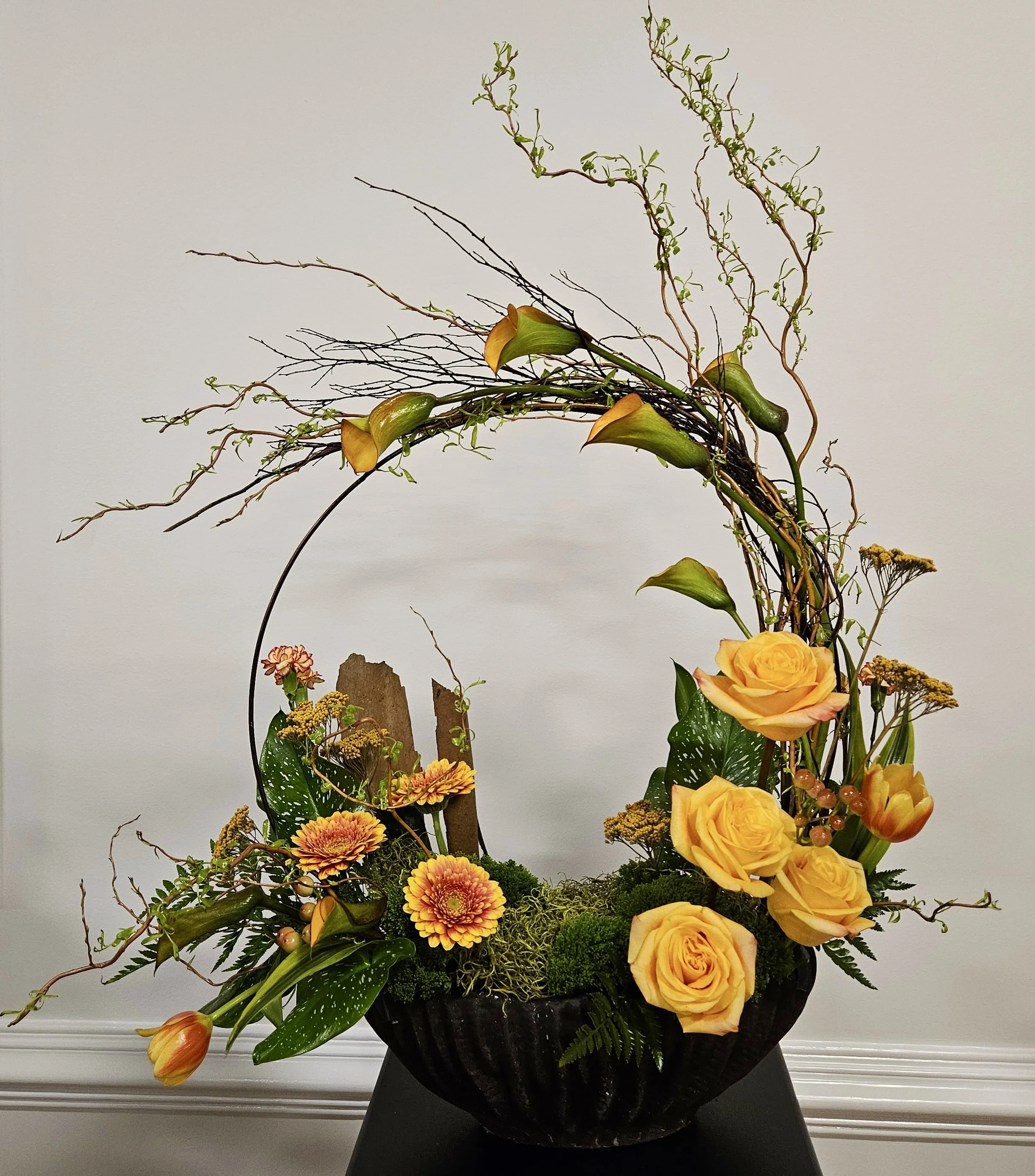 Jill-2026 FS ws-2.jpg