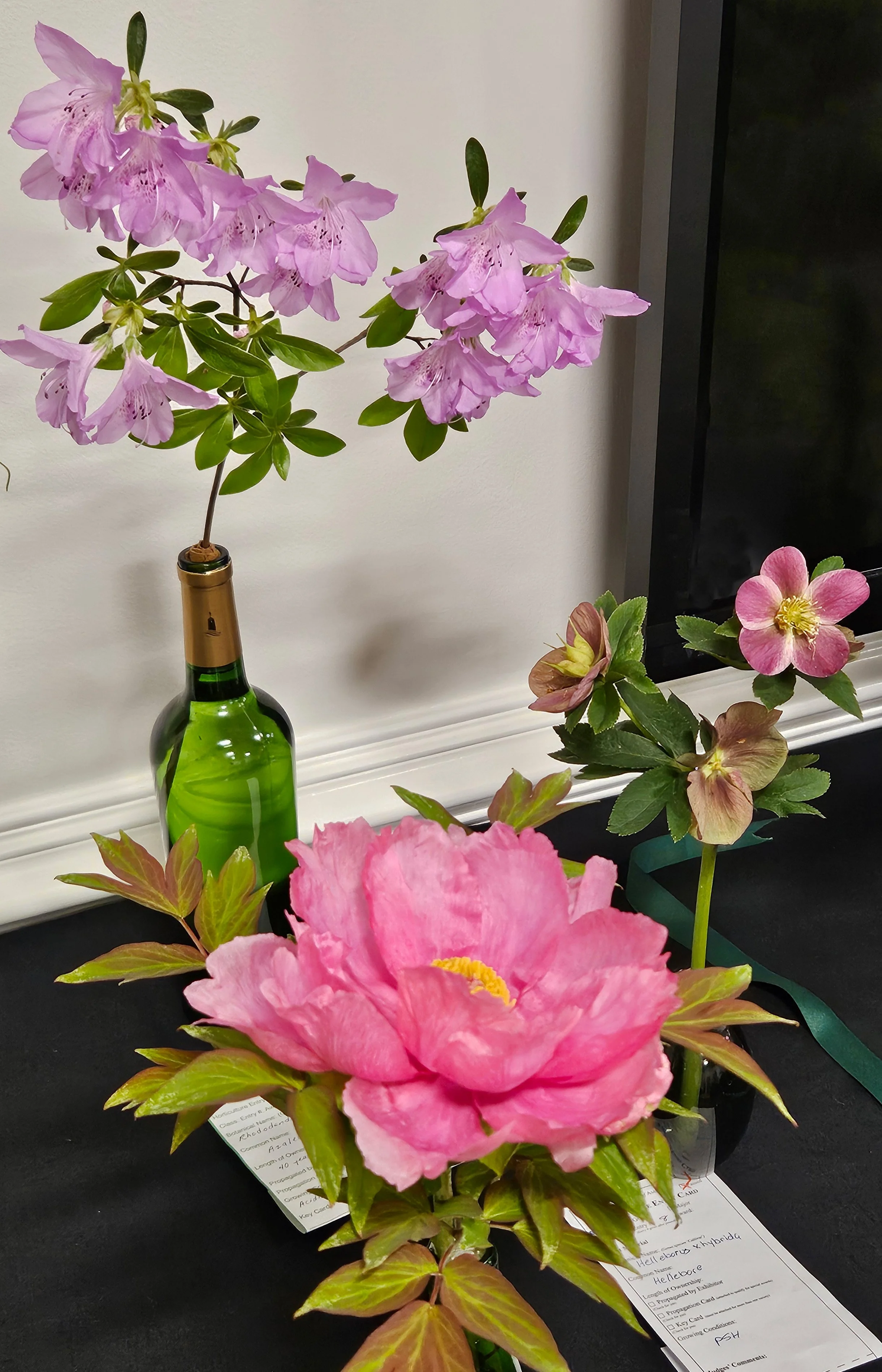 Jill-2026-FS ws-3.jpg