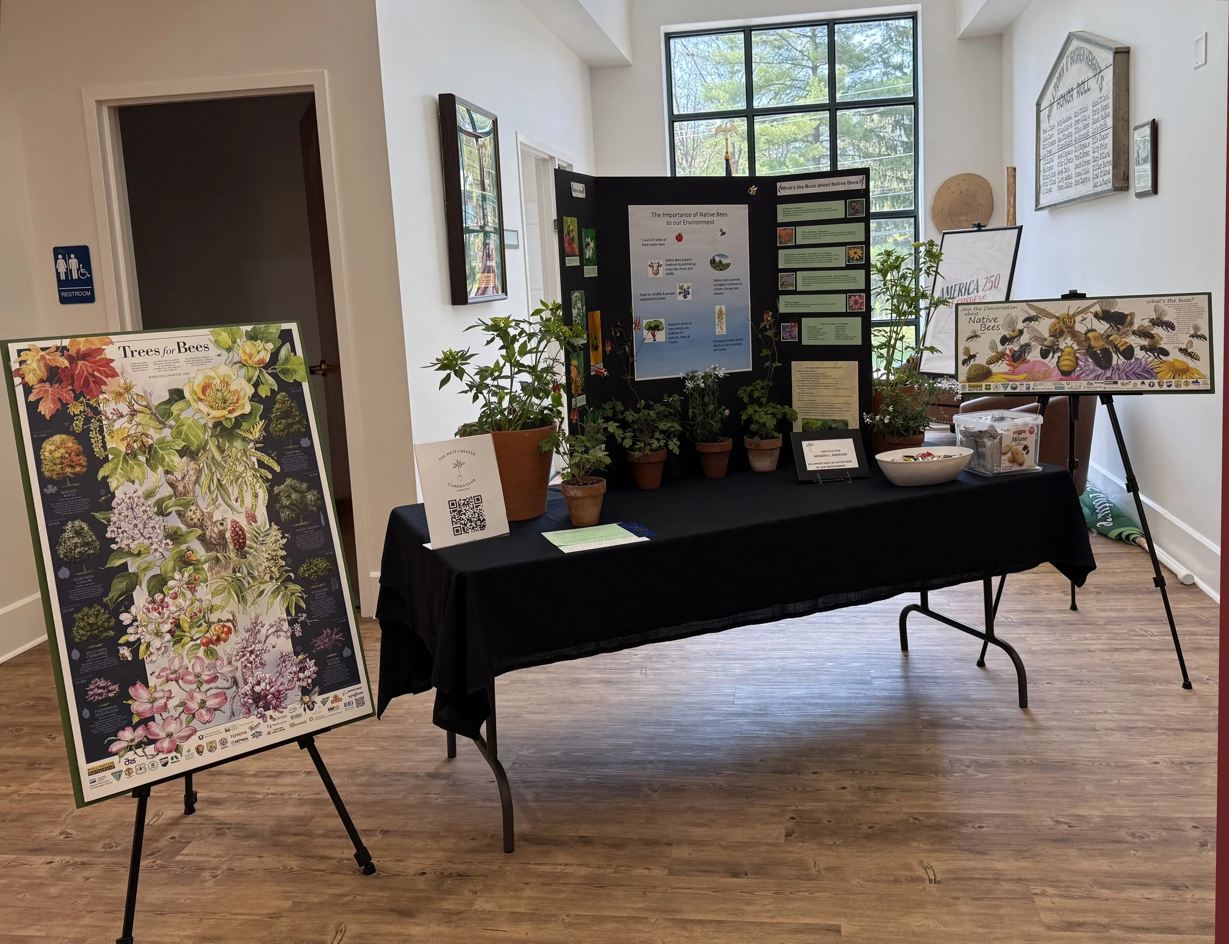 Jill-2026-FS ws-5.jpg