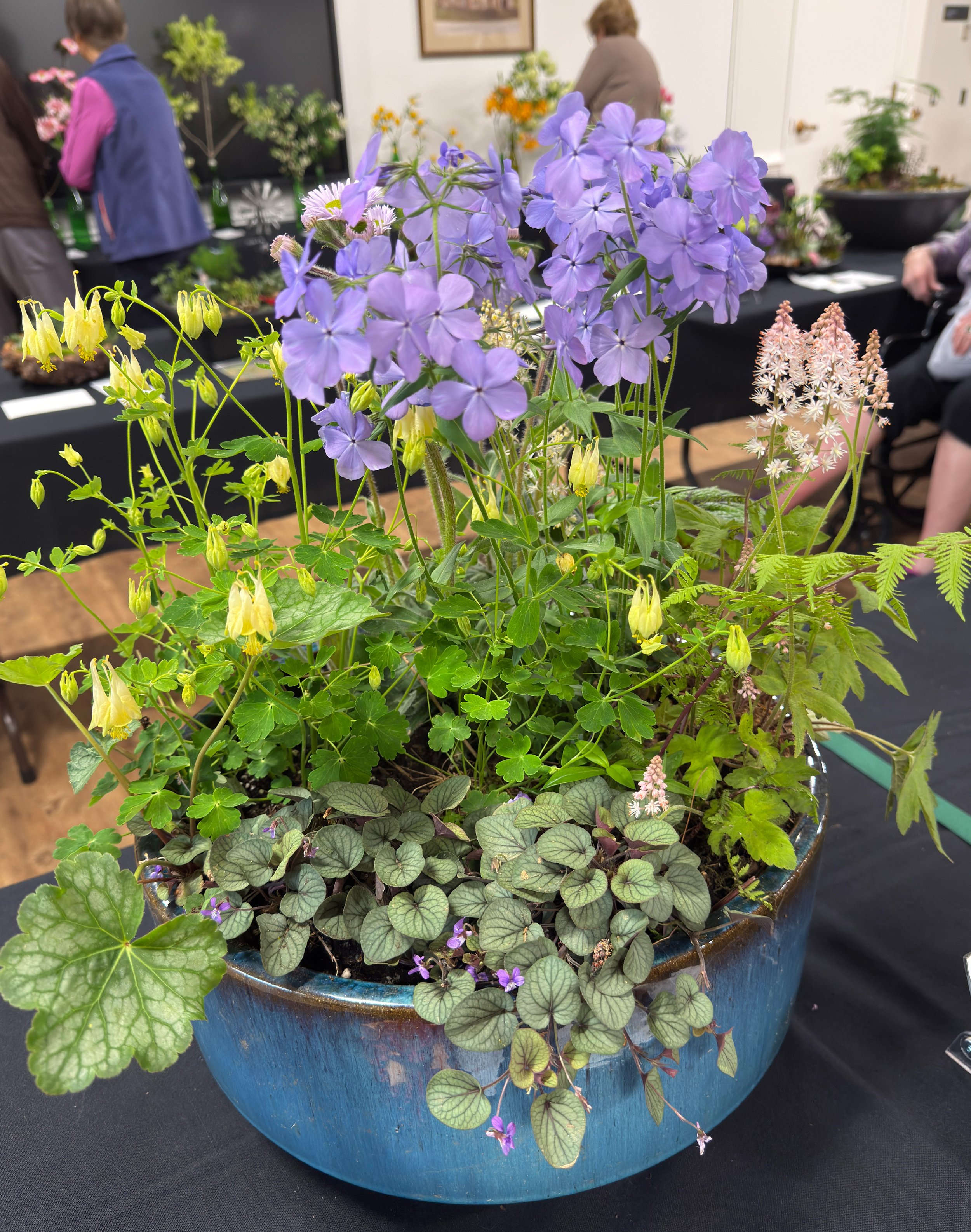 Jill-2026-FS ws-6.jpg