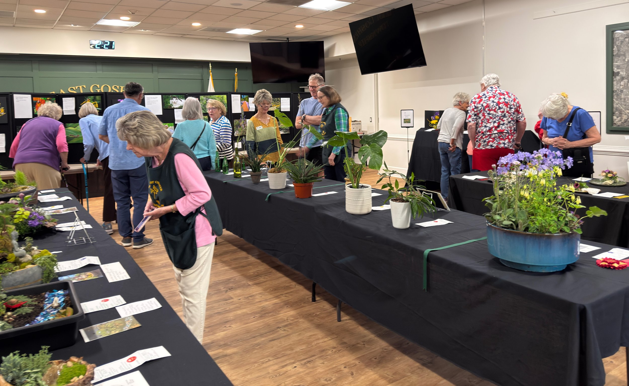 Jill-2026-FS ws-4.jpg