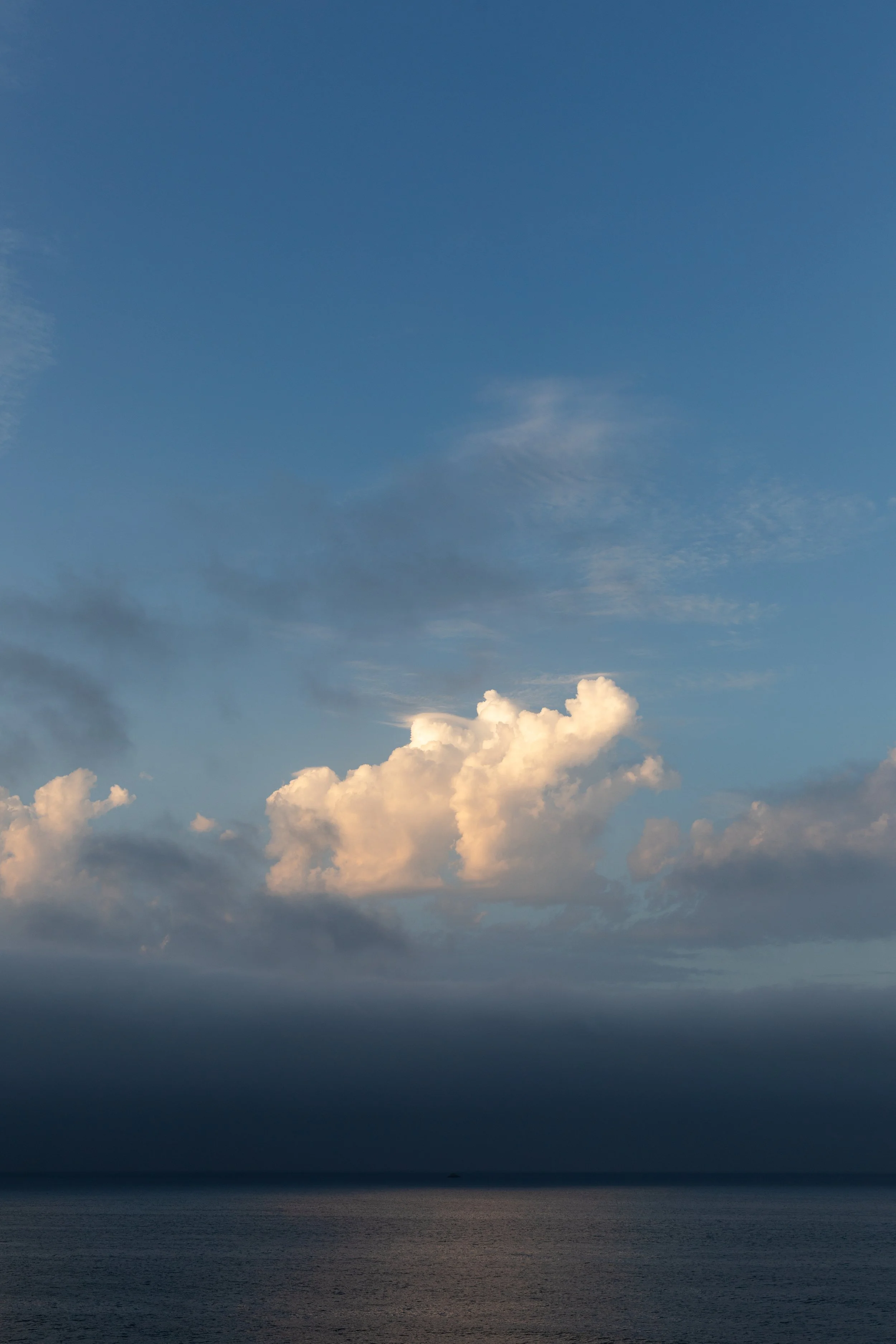 2U9A0018.jpg