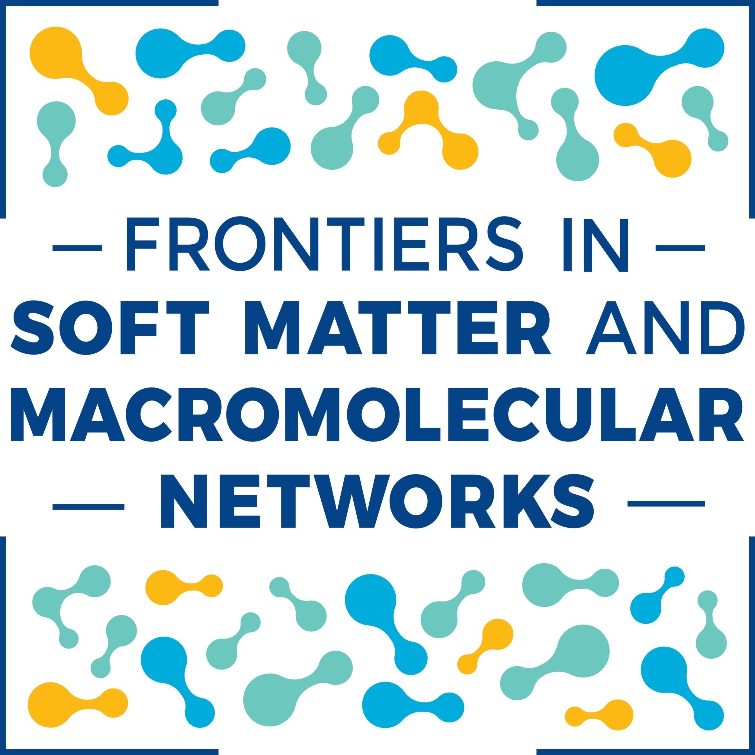 Frontiers in Soft Matter and Macromolecular Networks