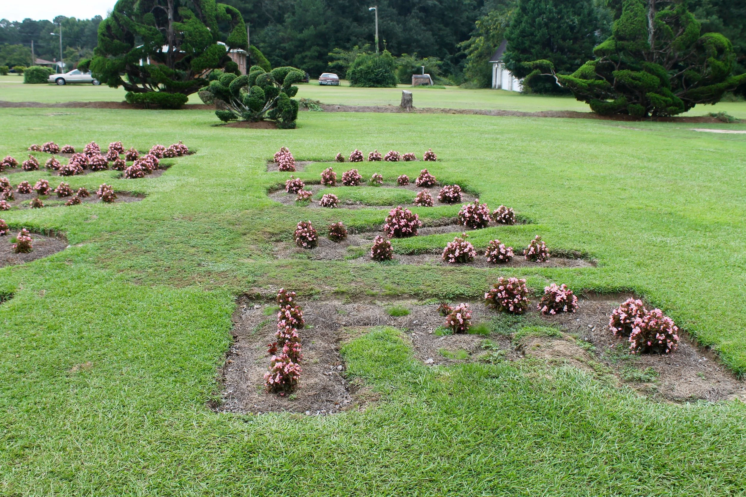 Pearl Fryar Black People with Plants Collection of Collections.jpg